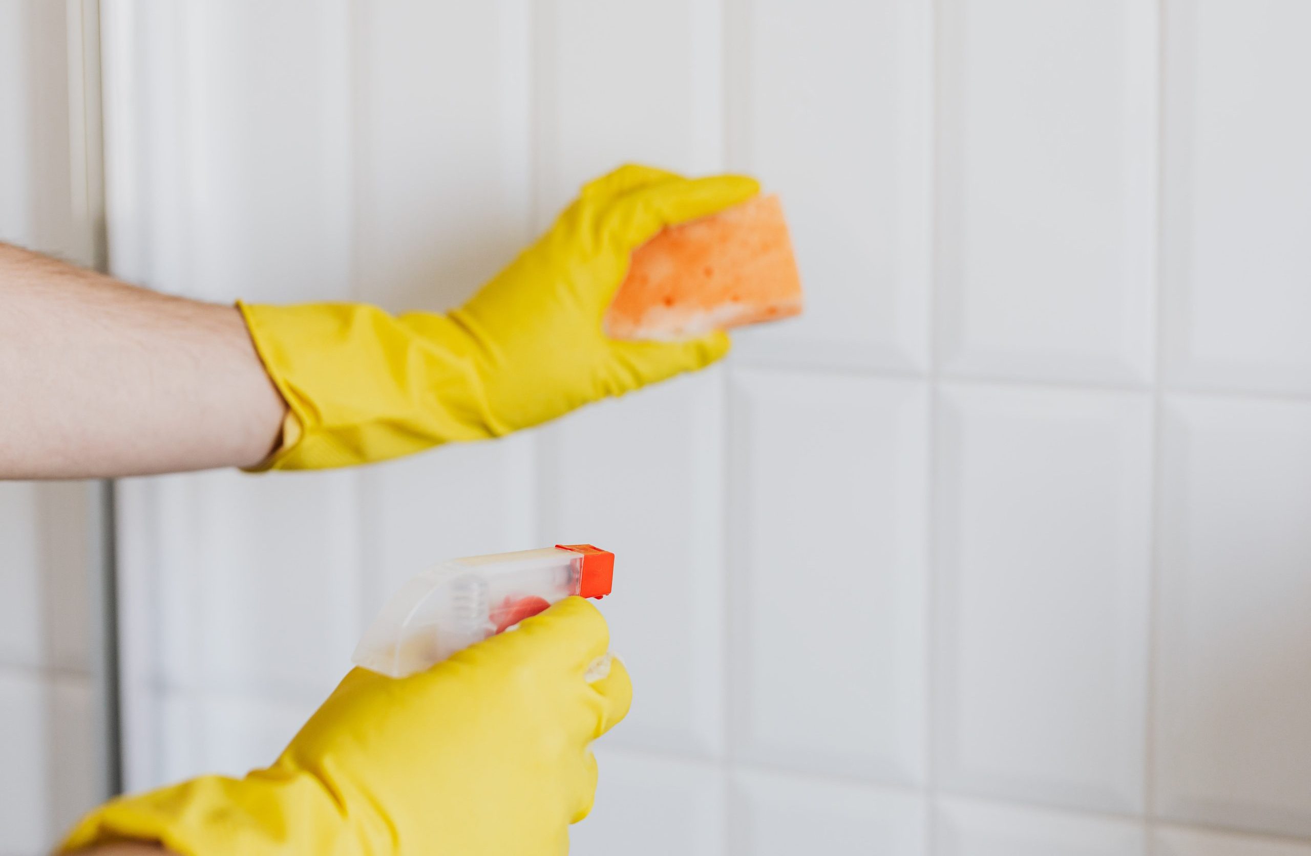 Move In Cleaning 3 Average move in cleaning cost scaled e1784971605762