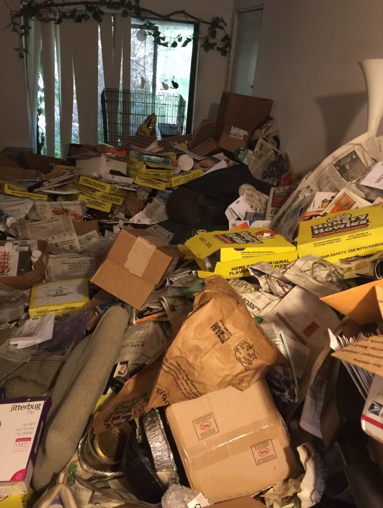 Hoarding Clean Up 4 Hoarder levels e1784968656734