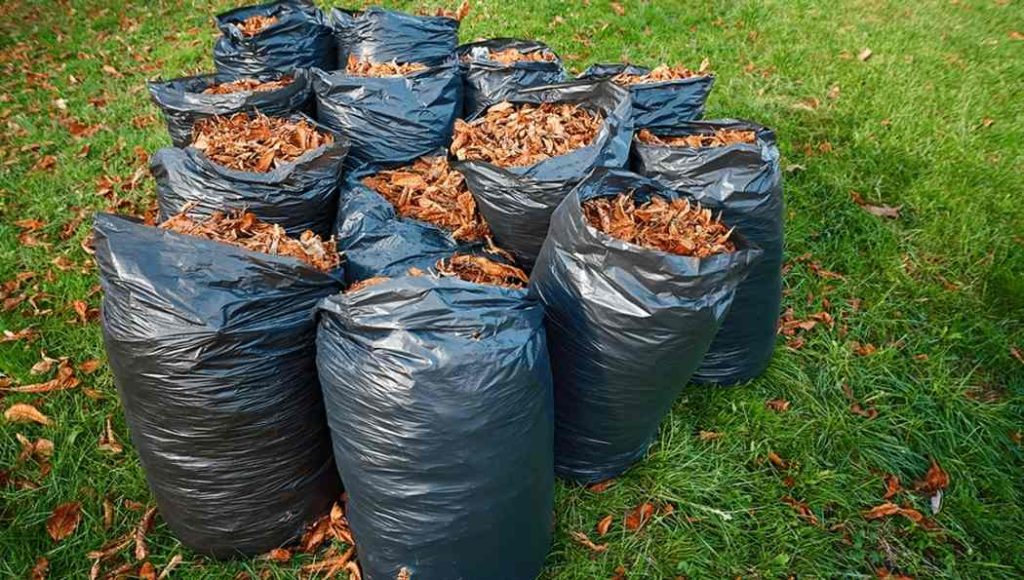 Leaf-collection-and-trimmings-removal-and-clean-up-services-and-Yard-junk-and-waste-removal