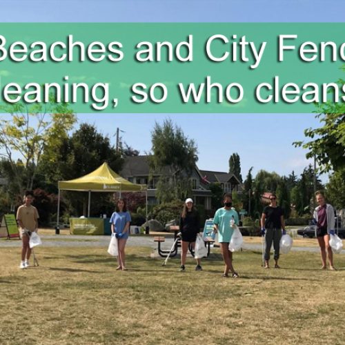 Parks, Beaches and City Fence lines need cleaning, so who cleans them
