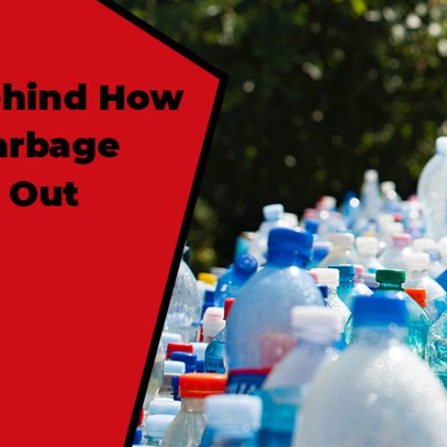 The Truth Behind How Much Non-garbage Gets Thrown Out